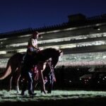 引退のタイミングがベスト/最高の引退をした馬は?