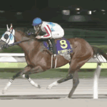 セレクトセール出身の看板馬が2年連続ダート馬という忌々しき事実
