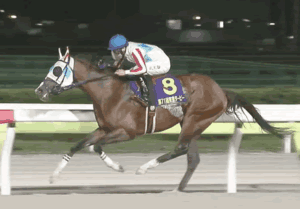 セレクトセール出身の看板馬が2年連続ダート馬という忌々しき事実