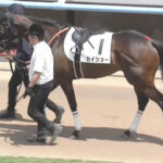 【競馬予想】[2]第57回函館2歳ステークス(GⅢ) /2025