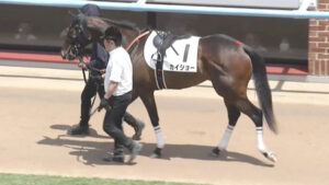 【競馬予想】[2]第57回函館2歳ステークス(GⅢ) /2025