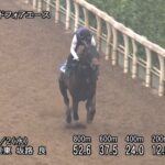 【北九州記念2025】追い切り/動きからレースを紐解く