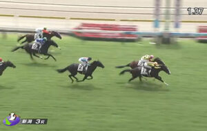 【2歳新馬】超大物ペルウィクトールとは何だったのか