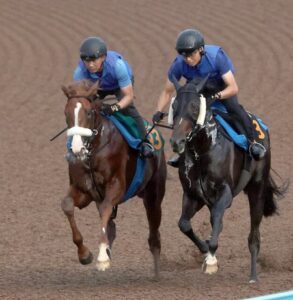 アーモンドアイ2番子プロメサアルムンドがセレクト2億超の高額馬に馬なり先着