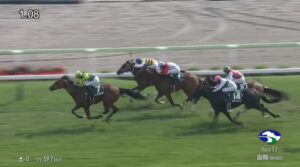 【函館2歳ステークス2025】出走予定馬・騎手/北の一番星目指し