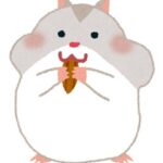 来年の3冠馬ハムタンが日曜函館5Rでデビューだけど