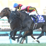 シャフリヤール 種牡馬引退