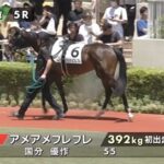 【日曜小倉5R九州産馬新馬戦】ネロだらけの大運動会