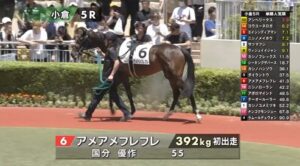 【日曜小倉5R九州産馬新馬戦】ネロだらけの大運動会
