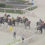 大井競馬場6Rでレース不成立に