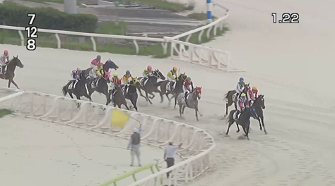 大井競馬場6Rでレース不成立に