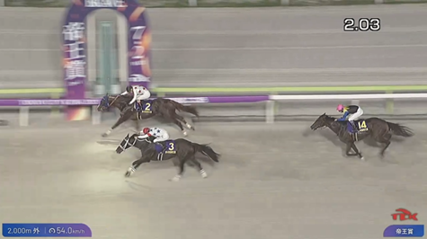7/2(水) 第48回帝王賞 反省会