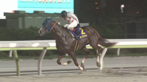 今年の帝王賞のレーティング、G1昇格基準を下回る