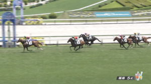 【日曜福島5R新馬戦】ロスパレドネス&ルメール騎手がキタ━━━━(゚∀゚)━━━━!!