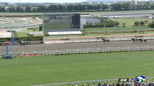 【土曜函館5R新馬戦】エムフォー&小林美駒騎手がキタ━━━━(゚∀゚)━━━━!!