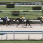 【ロードヴィゴラス】ダノンプレミアム産駒初勝利