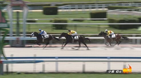【ロードヴィゴラス】ダノンプレミアム産駒初勝利