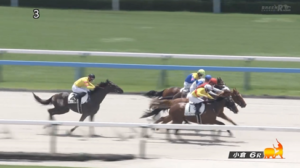 【日曜小倉6R新馬戦】ロードヴィゴラス＆高杉騎手がｷﾀ━━━━(ﾟ∀ﾟ)━━━━!!