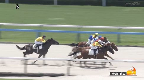 【日曜小倉6R新馬戦】ロードヴィゴラス&高杉騎手がキタ━━━━(゚∀゚)━━━━!!