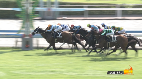 【マレーシアC】最低人気のグランアルティスタ&小崎騎手がキタ━━━━(゚∀゚)━━━━!!