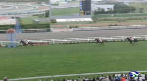 ショウナンガルフ強すぎワロタ