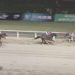 【スパーキングレディーC】フェブランシェ&吉原騎手がキタ━━━━(゚∀゚)━━━━!!