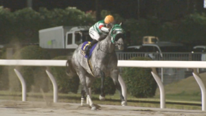 7/9(水)第29回 スパーキングレディーカップ(JpnIII)　反省会