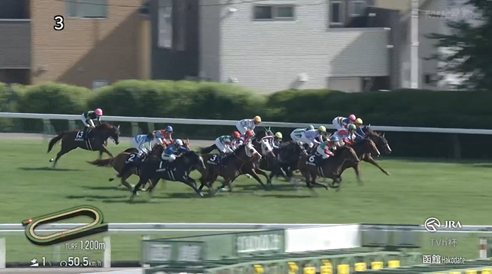 【TVh杯】ナムラクララ&浜中騎手がキタ━━━━(゚∀゚)━━━━!!