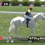 【函館土曜5R新馬戦】怪物マルガ出陣
