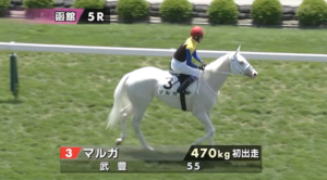 【函館土曜5R新馬戦】怪物マルガ出陣