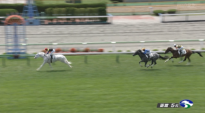 マルガ強すぎワロタw w w w m