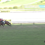 オニャンコポン復活か?