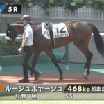 【福島日曜5R新馬戦】コントレイル産駒のルージュボヤージュがキタ━━━m9( ゚∀゚)━━━!!