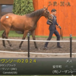 【セレクトセール2025】イーヴンソーの2024(父キタサンブラック)が11,500万円で落札 他