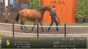 【セレクトセール2025】イーヴンソーの2024(父キタサンブラック)が11,500万円で落札　他