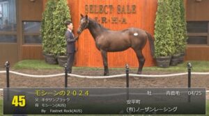 【セレクトセール2025】モシーンの2024(父キタサンブラック)が42,000万円で落札　他