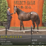 【セレクトセール2025】パリスビキニの2024(父コントレイル)が28,000万円で落札　他