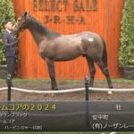 【セレクトセール2025】ノームコアの2024(父キタサンブラック)が41,000万円で落札 他