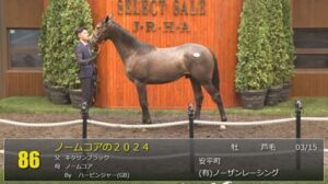 【セレクトセール2025】ノームコアの2024(父キタサンブラック)が41,000万円で落札　他