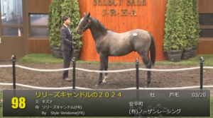 【セレクトセール2025】リリーズキャンドルの2024(父キズナ)が23,000万円で落札　他