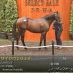 【セレクトセール2025】リリサイドの2024(父エフフォーリア)が17,000万円で落札