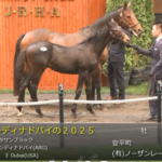 【セレクトセール2025】2日目当歳馬スタート