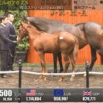 【セレクトセール2025】キャンプロックの2025(父イクイノックス)が23,000万円で落札　他