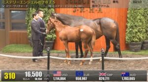 【セレクトセール2025】キャンプロックの2025(父イクイノックス)が23,000万円で落札　他