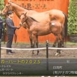 【セレクトセール2025】シュガーハートの2025(父コントレイル)が22,000万円で落札 他