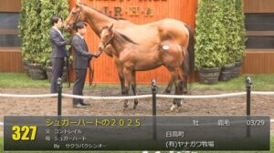 【セレクトセール2025】シュガーハートの2025(父コントレイル)が22,000万円で落札　他