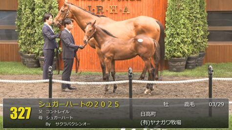 【セレクトセール2025】シュガーハートの2025(父コントレイル)が22,000万円で落札 他
