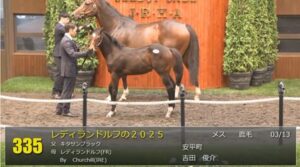 【セレクトセール2025】ソーテルヌの2025(父フランケル)が3億円で落札　他