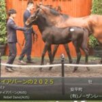 【セレクトセール2025】ファイアバーンの2025(父キズナ)が32,000万円で落札 他