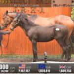 ショウナン国本氏、キズナ産駒3億2000万円「この馬が僕の夢をかなえてくれる」